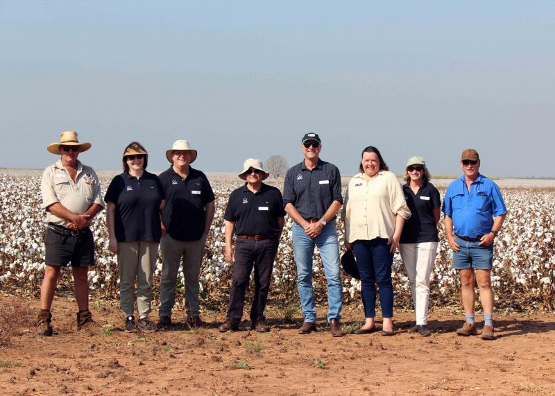 Eight people standing in a cotton paddock 