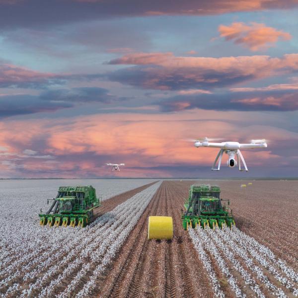 Drones and cotton pickers
