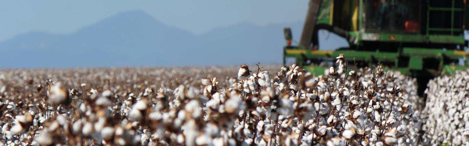 Key CRDC Investments