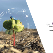 Cover of the partnership relationship review report