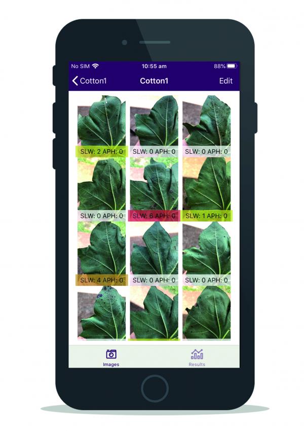 iPhone displaying the PestDetect app