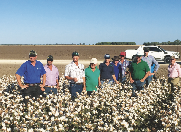 Group of farmers in a cotton field.