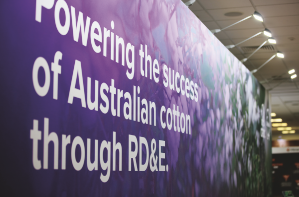 Wall with wording "powering the success of Australian cotton through RD&E"