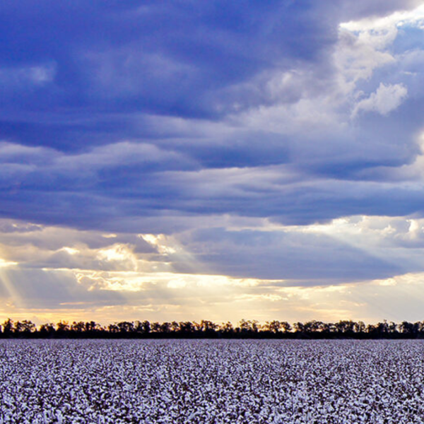 The annual sustainability report is supported by a new sustainability website designed to showcase industry data and reporting.