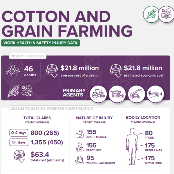 Cotton and grain infographic