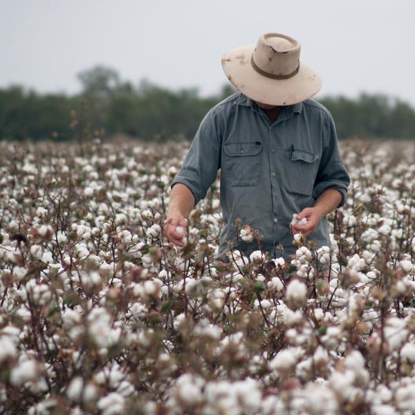 Grower in field