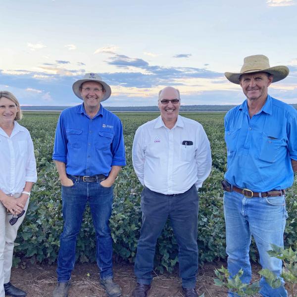 CRDC Deputy Chair Rosemary Richards, University of Sydney Associate Professor Guy Roth, CRDC Executive Director Dr Ian Taylor, and Narrabri dryland cotton grower Geoff O'Neill.