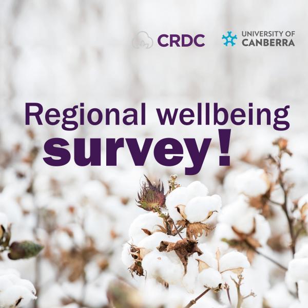 Regional wellbeing survey promotional image