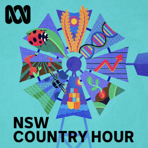 NSW Country Hour