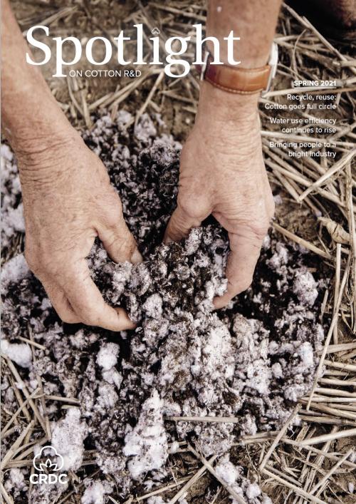 Hands in a cotton paddock holding mulched cotton fibre