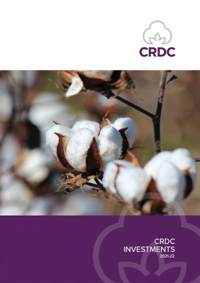 CRDC Investments List. Open cotton bolls in a cotton field. 