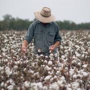 Grower in field
