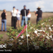 Cover of the CRDC Grower Survey 2026